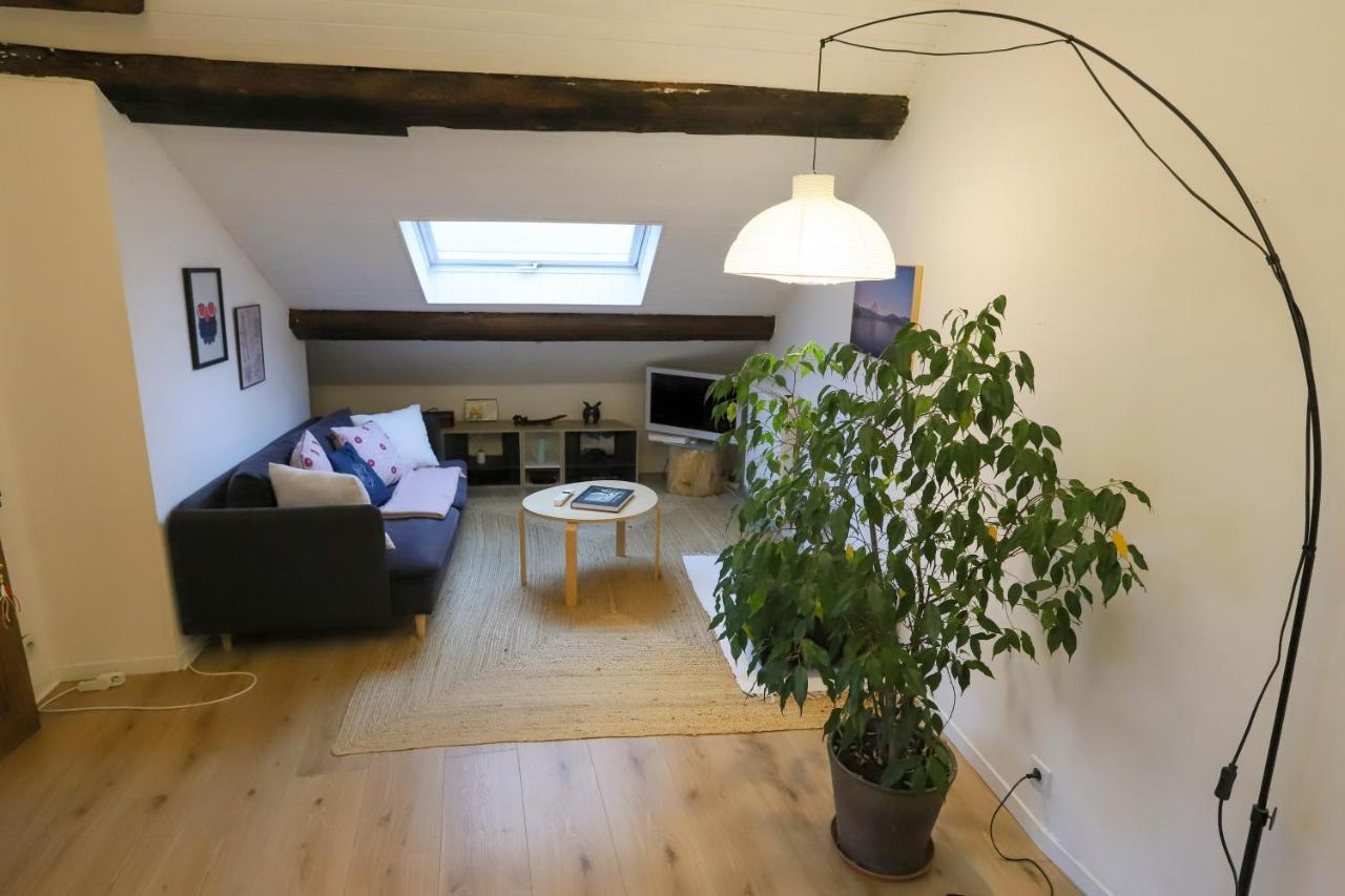 Apartament Petit-Coeur Charmant En Centre Ville Annecy Zewnętrze zdjęcie