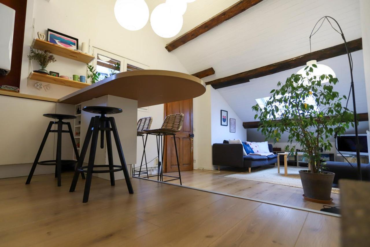 Apartament Petit-Coeur Charmant En Centre Ville Annecy Zewnętrze zdjęcie