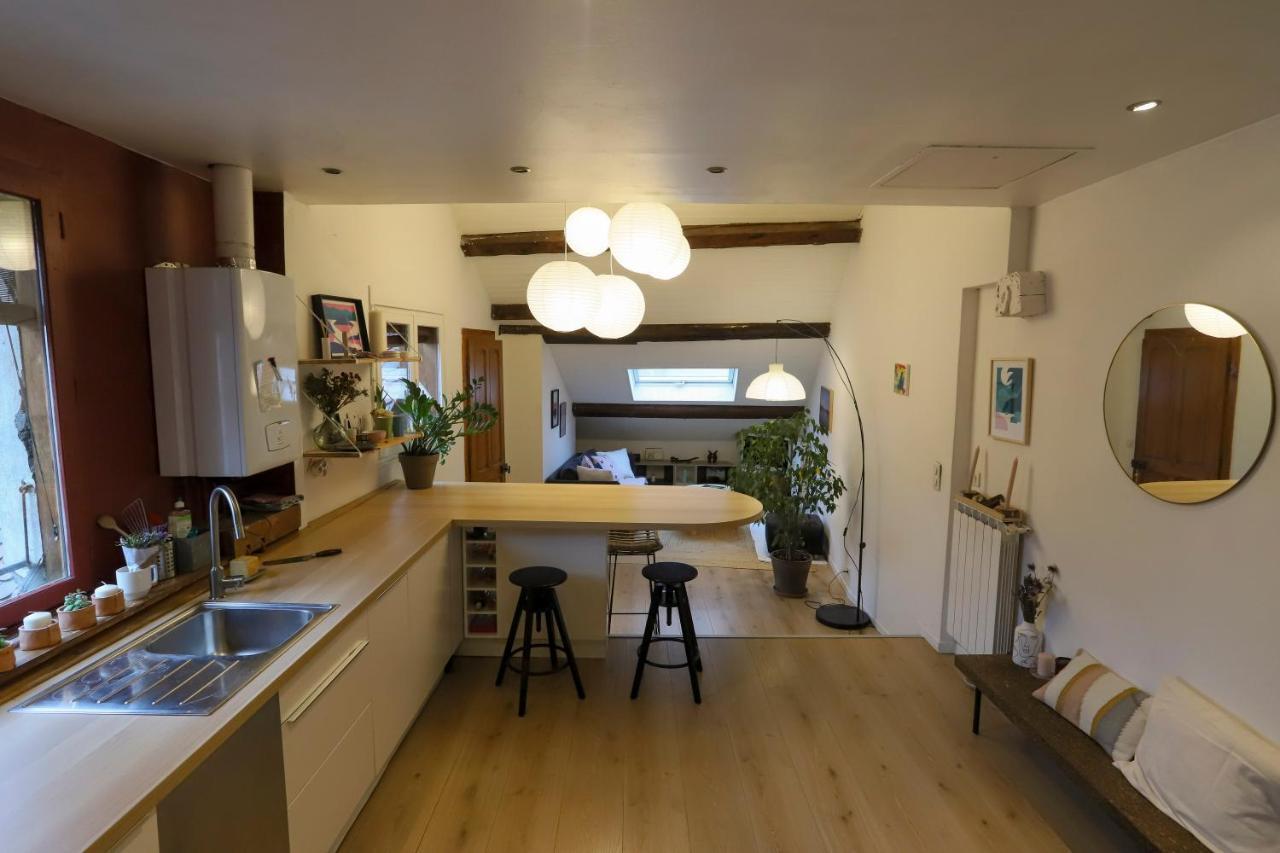 Apartament Petit-Coeur Charmant En Centre Ville Annecy Zewnętrze zdjęcie