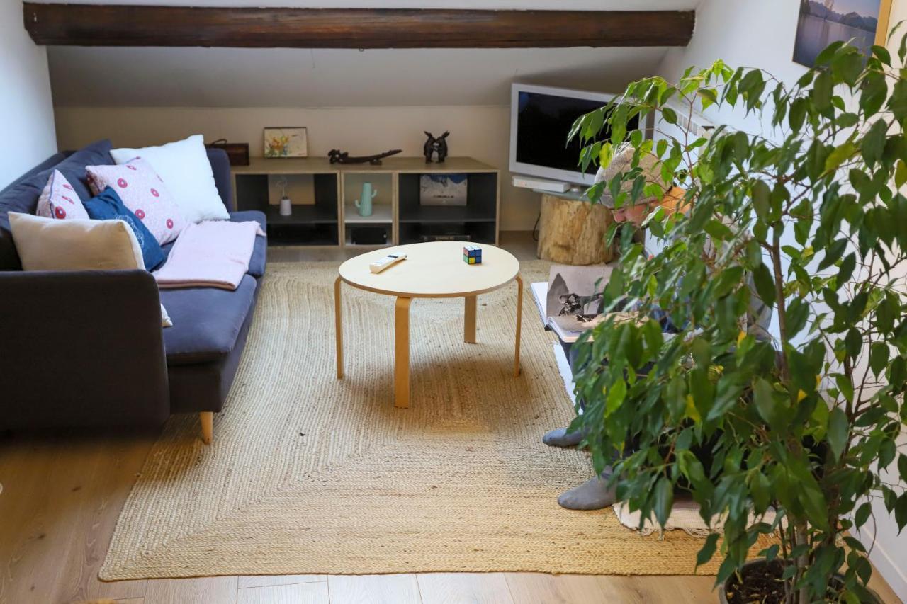 Apartament Petit-Coeur Charmant En Centre Ville Annecy Zewnętrze zdjęcie