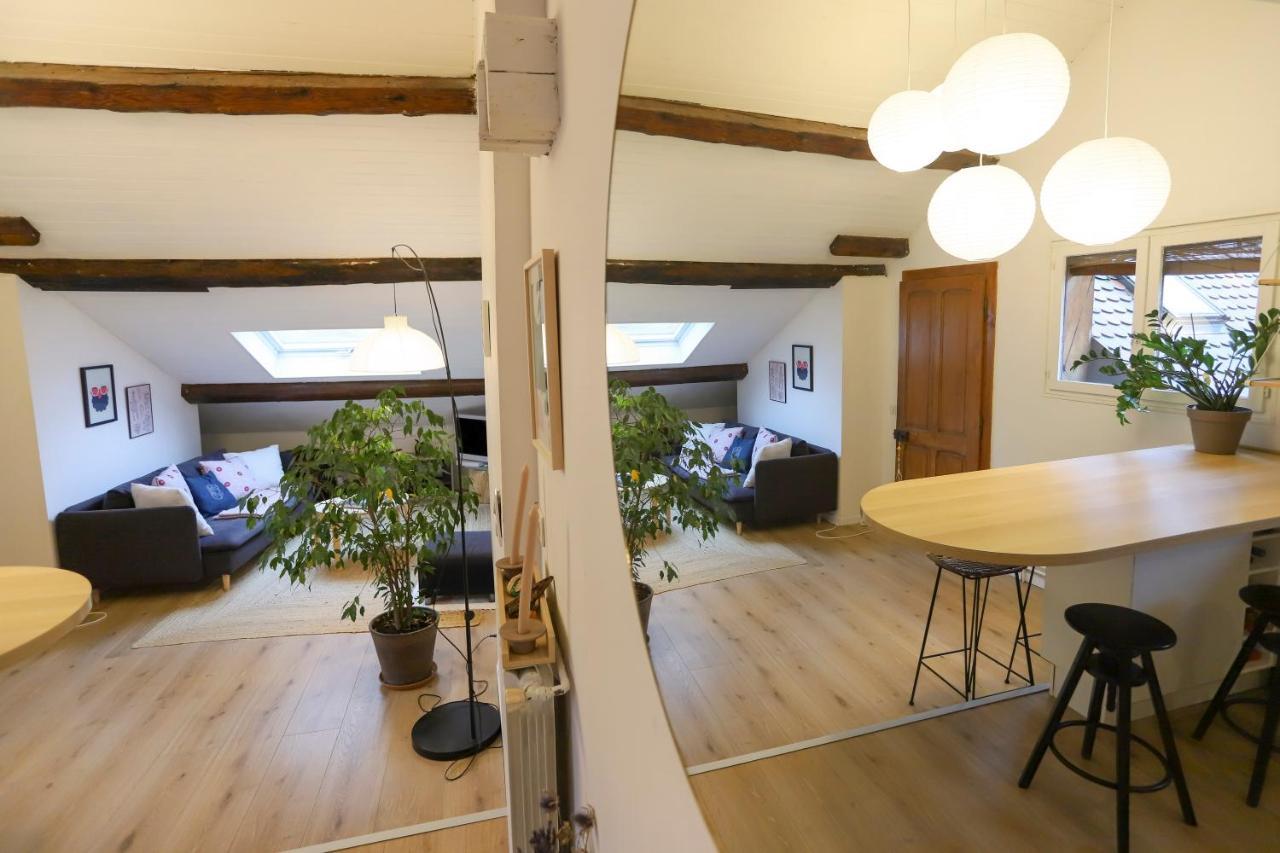 Apartament Petit-Coeur Charmant En Centre Ville Annecy Zewnętrze zdjęcie